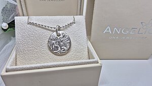 Silver pendant necklace displayed in a jewelry box, featuring an engraved design and a delicate chain. The box is labeled with the brand name "AMY."